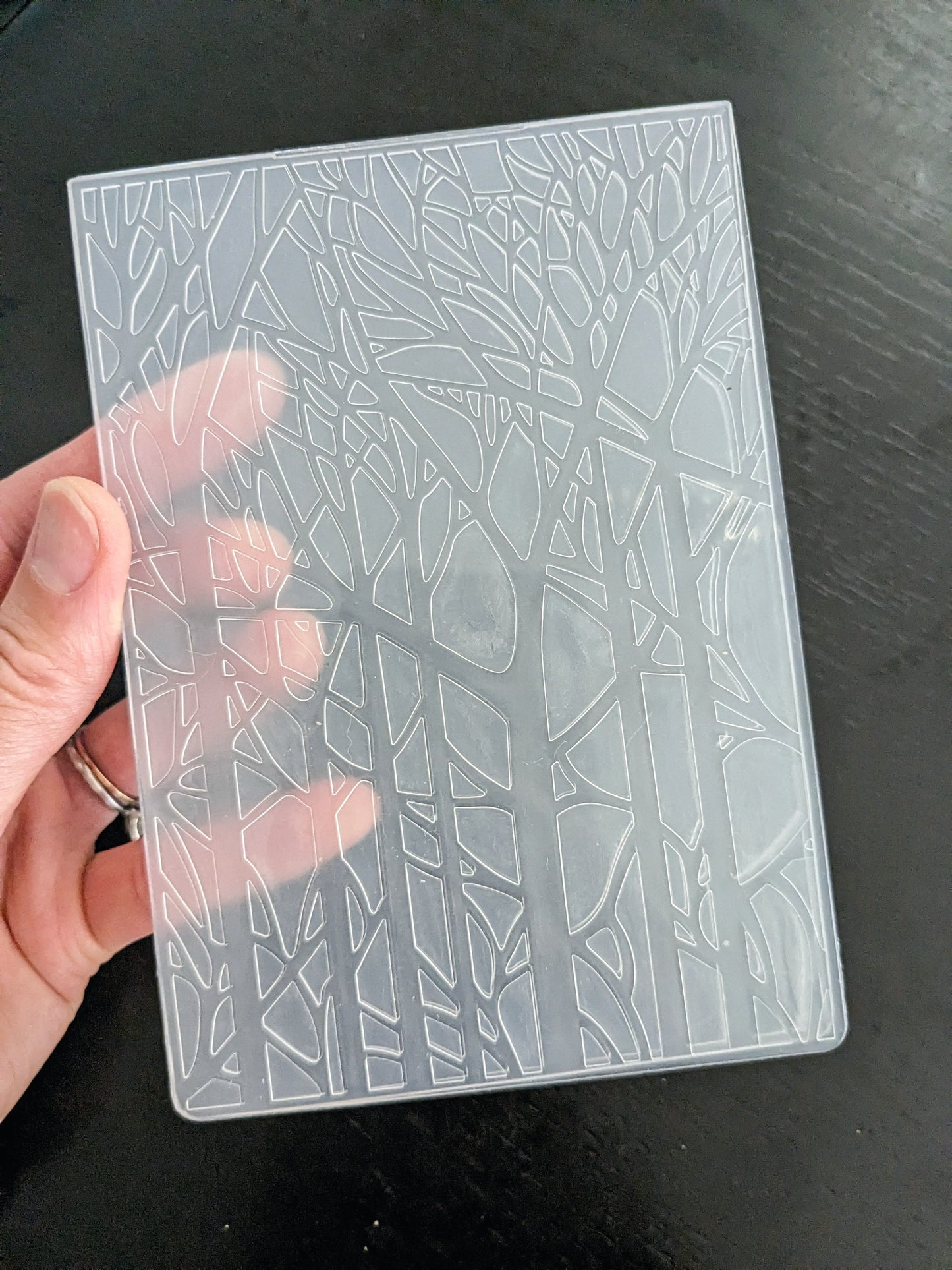 Spooky Trees Embossing Folder